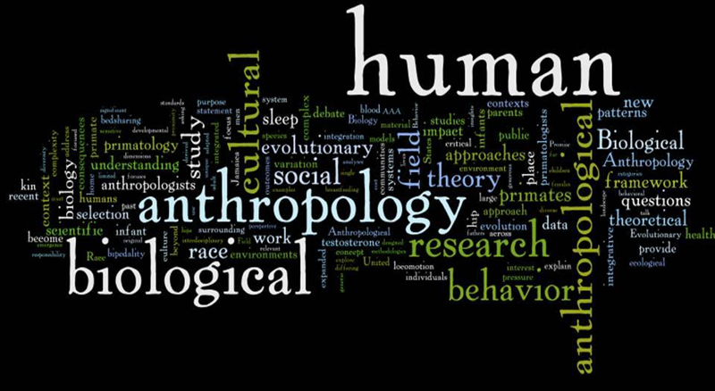 Humanize text. Understanding Evolution. Examining belief require which approach Anthropology.