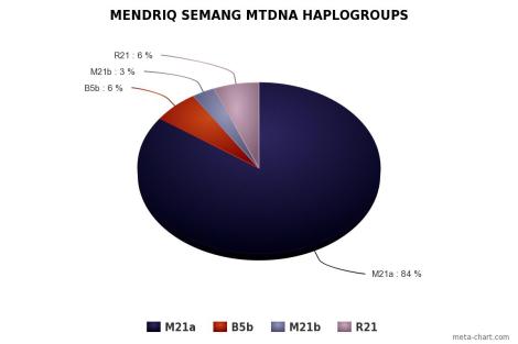 Mendriq Semang mtDNA Haplogroups