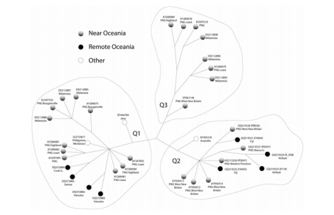 Sebaran mtDNA Q di Oceania (Corser et al., 2010)