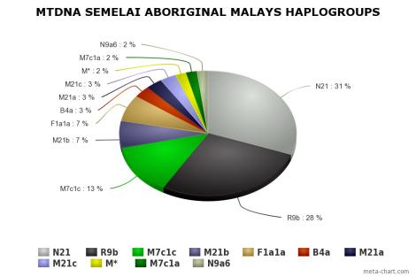 Semelai mtDNA haplogroups