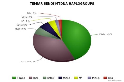 Temiar Senoi mtDNA Haplogroups