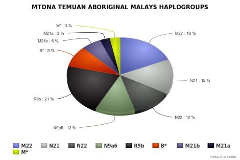 Temuan Aboriginal Malays mtDNA Haplogroups