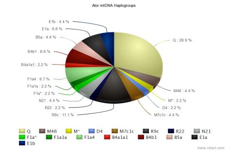 mtDNA haplogroup pada populasi Alor